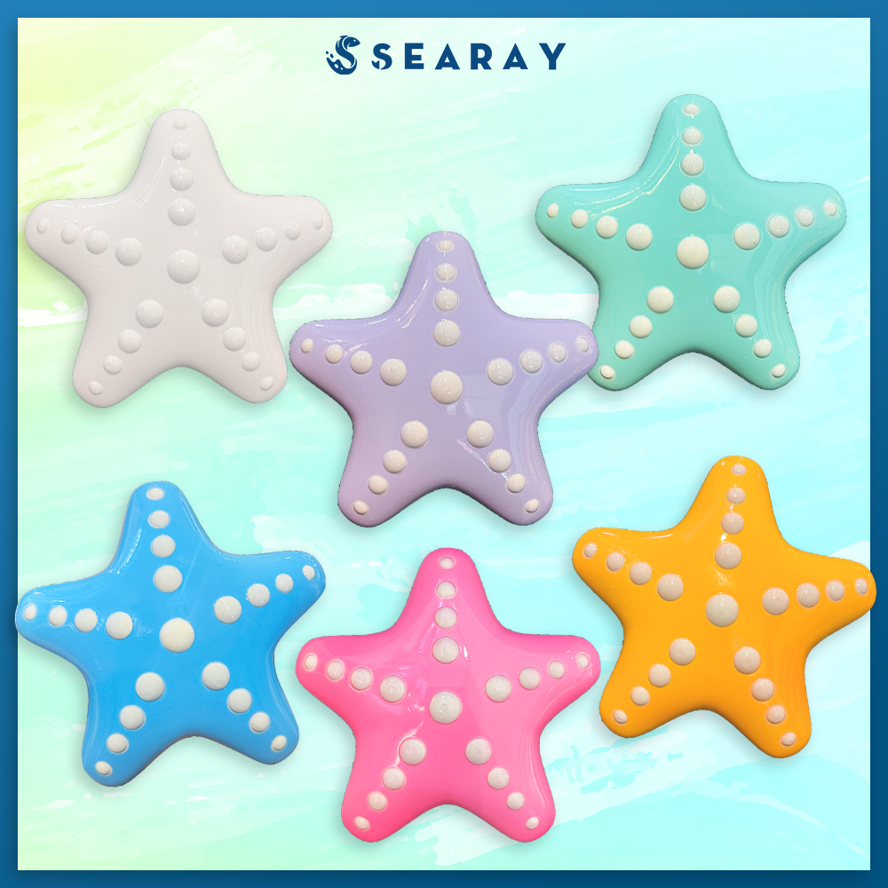 Chì lặn biển Searay Sao biển – 1.0KG